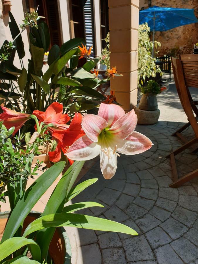 Hotel Segles - Turismo De Interior Campos (Mallorca) Exterior foto